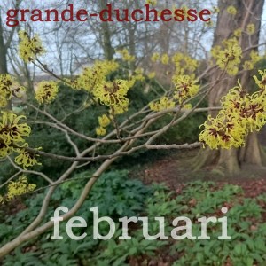 Hoesontwerp album 'Februari' (2019)